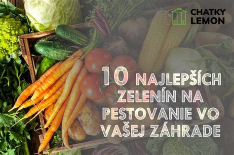 Fotografia rôznych grilovaných zelenín