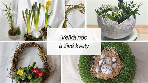 Aranžovanie kuriatok na tanieri
