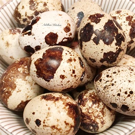 Prepeličie vajíčka v miske s vodou