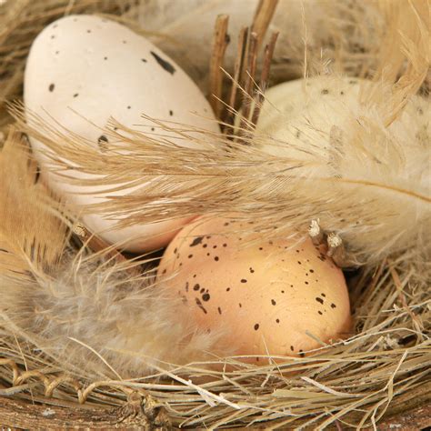 Nádoba s pripravenými prepeličími vajíčkami na zmrazenie