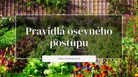 Ilustrácia správneho osevného postupu