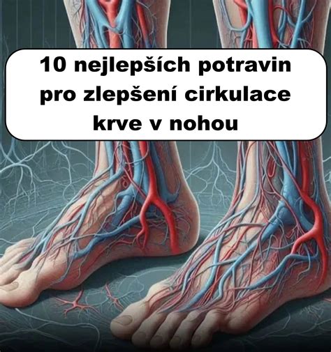 Schéma cirkulácie krvi v pečeni