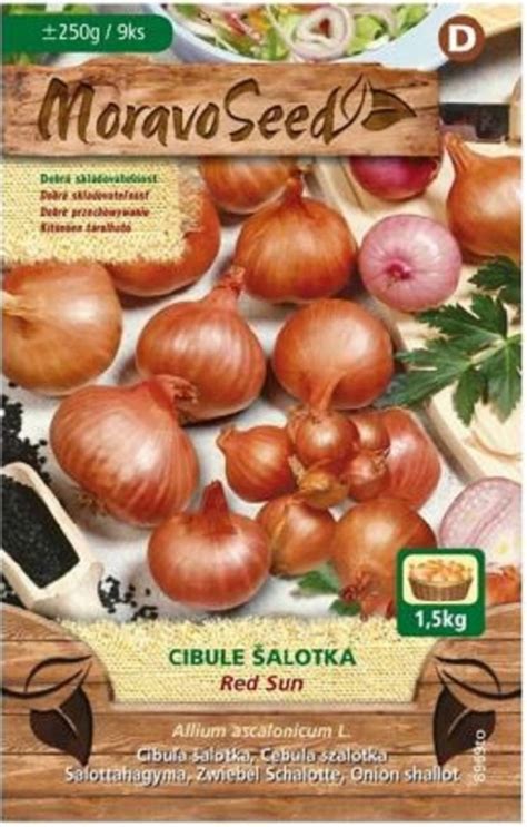 Ilustrácia krájania cibule