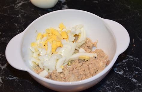 Ilustrácia jedál s použitím opraženej cibule