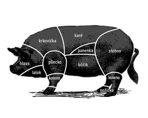 Ilustrácia psa jediaceho bravčové mäso
