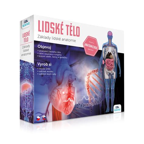 Schéma účinkov propolisu na ľudské telo