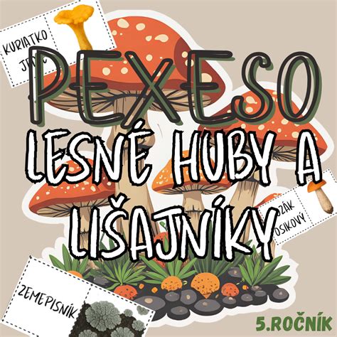 Ilustrácia rôznych druhov lesných húb