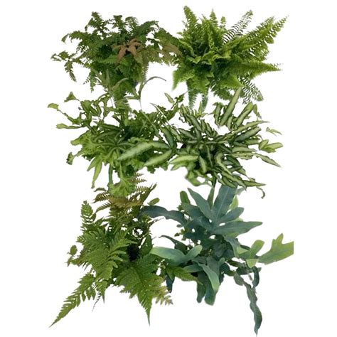 Rôzne druhy dresingov v miskách