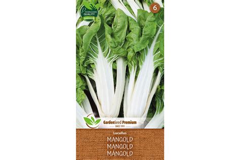 Semená rôznych odrôd mangoldu