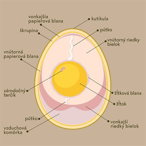 Výživové zloženie vajca