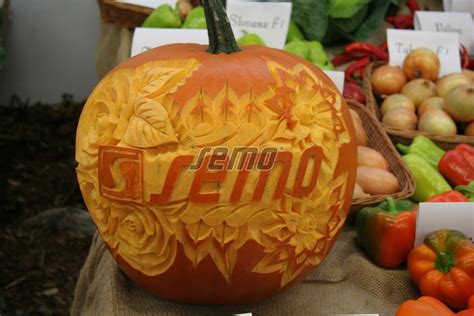 Žltá tekvica 'Yellowboys F1' pripravená na vyrezávanie