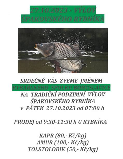 Ilustračný výlov kapra