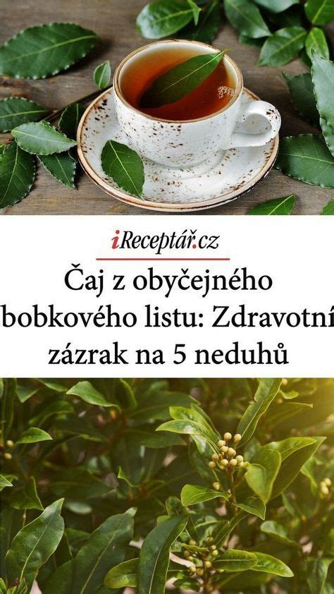 Infografika o zdravotných prínosoch bobkového listu
