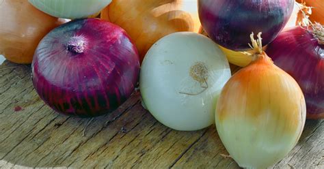 Rôzne druhy cibule a ich využitie v kuchyni