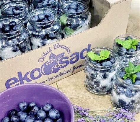 čerstvé čučoriedky na vrchu cheesecaku
