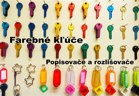 Vizualizácia rôznych druhov polievkových vložiek