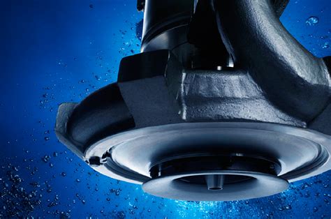 Fotografia grilu FRAMO