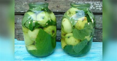 Ilustrácia ovocia v zaváracích pohároch