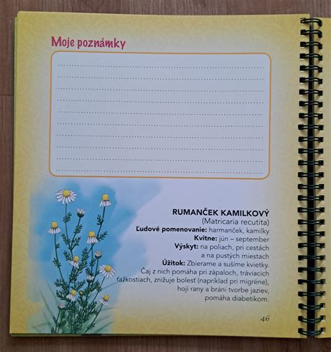 Stredoveký herbár s vyobrazením archangeliky