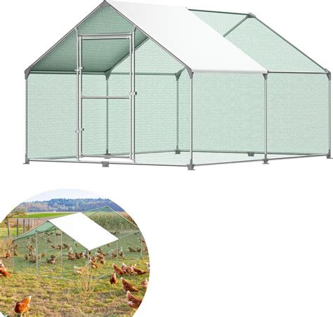 Husa na farme s voľným výbehom