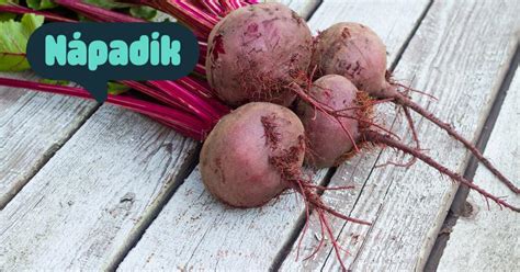 Rozličné spôsoby prípravy cvikly