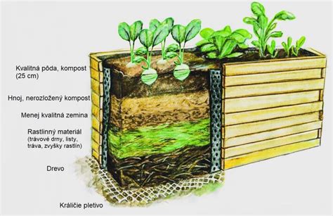 Schéma vrstvenia mäsového nákypu