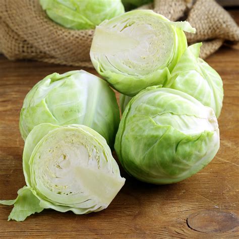 Čerstvá biela kapusta