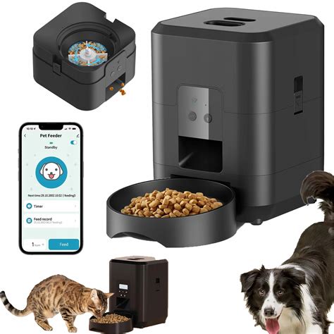 Ilustrácia psa s miskou domácich dobrôt