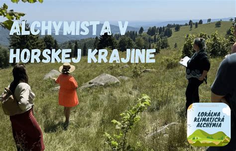 Lama v horskej krajine