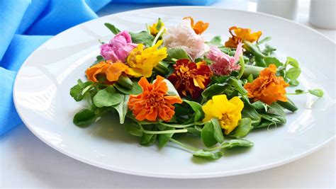 Ilustrácia jedlých kvetov na tanieri