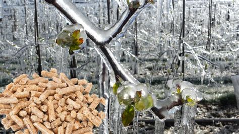 Rozdiel medzi dreveným uhlím a briketami