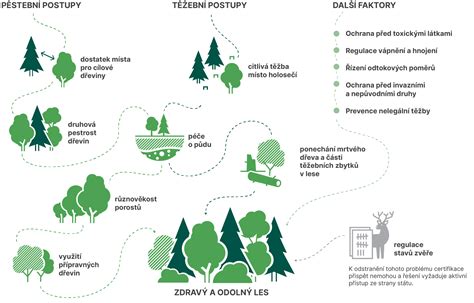 Schéma kolobehu života pstruha