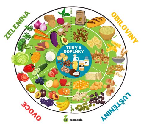 Ilustrácia zdravých rastlinných potravín