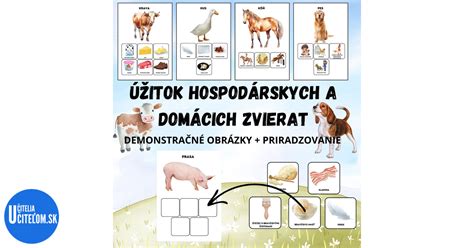 Ilustrácia rôznych druhov hospodárskych zvierat