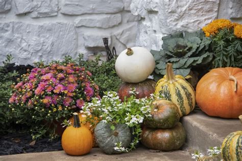 Dekoratívne aranžmány s tekvicami