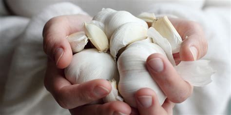 Ilustrácia cesnaku a jeho benefitov