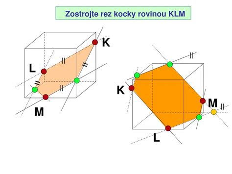 rez kocky rovinou KLM