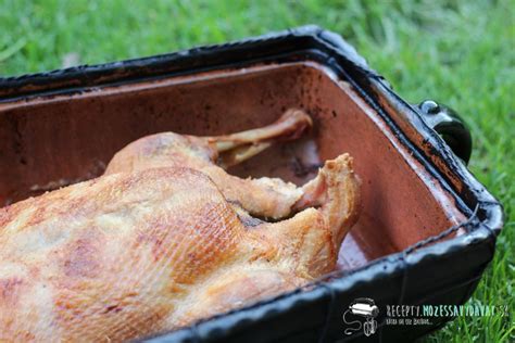 kačica v rúre počas pečenia