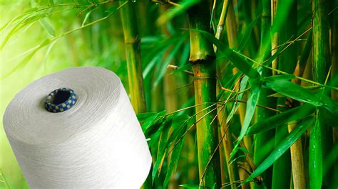 Bambusové vlákno v rôznych formách