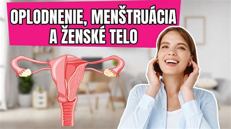 Ženský reprodukčný systém a močové cesty