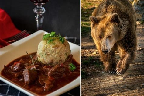 medvedie mäso marinované v zmesi korenín a vína
