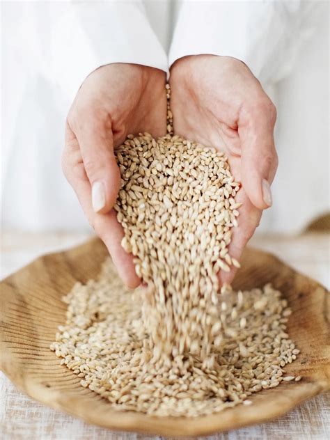 Zrnká jačmeňa a hotové krúpy