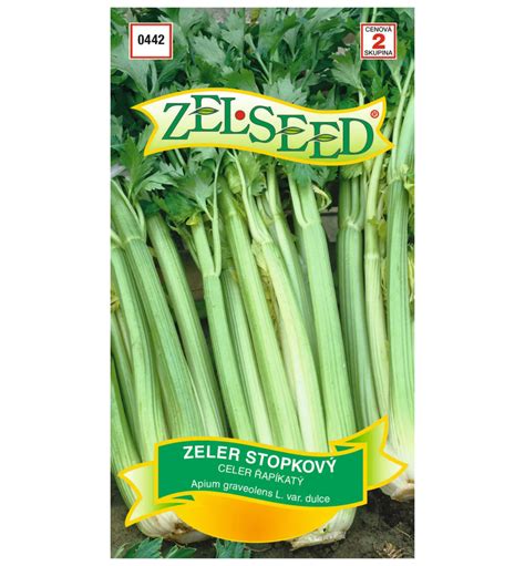 Stopkový zeler vo smoothie