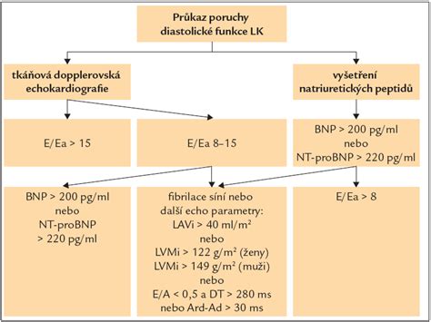 schéma diagnostiky proteinúrie