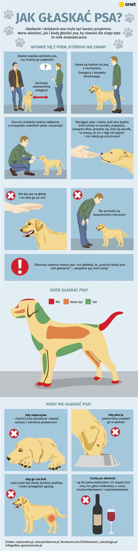 Infografika o tráviacom systéme psa