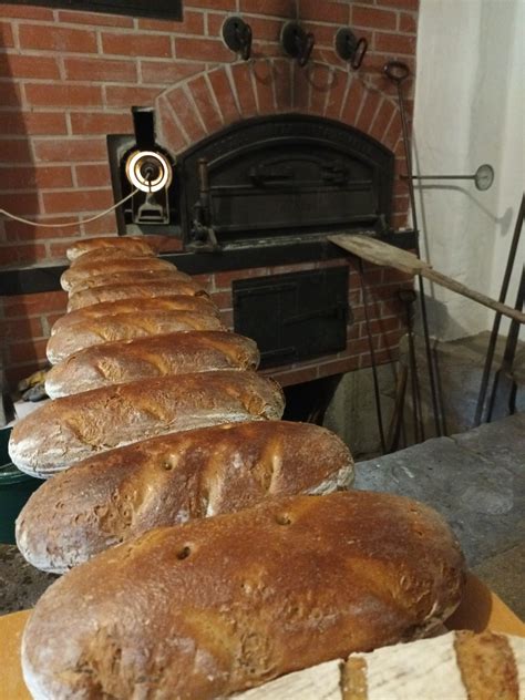 Ilustrácia základných krokov výroby chleba