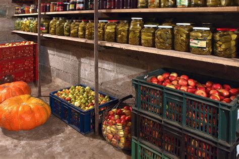 Pivnica s uskladnenou zeleninou