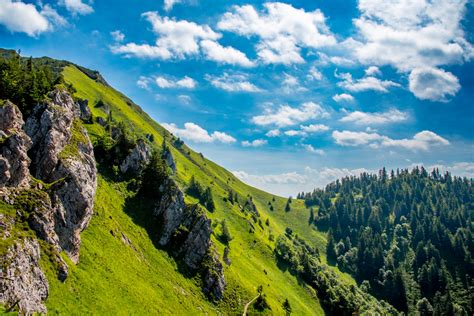 Ekologická ochrana mrkvy