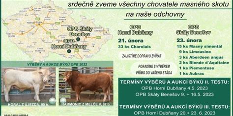 Schéma ustajnenia býkov