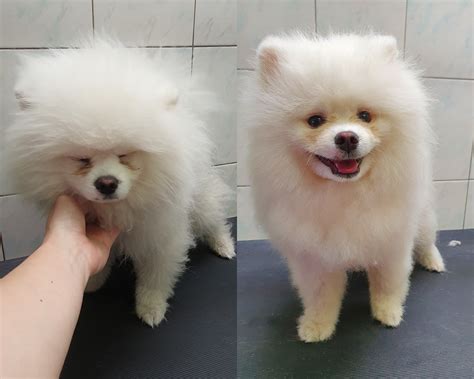 Zákazník spokojný s nákupom